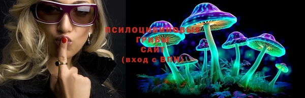 твердый Сафоново