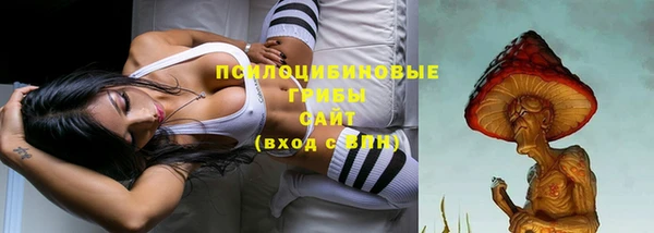 мяу мяу кристалл Бикин