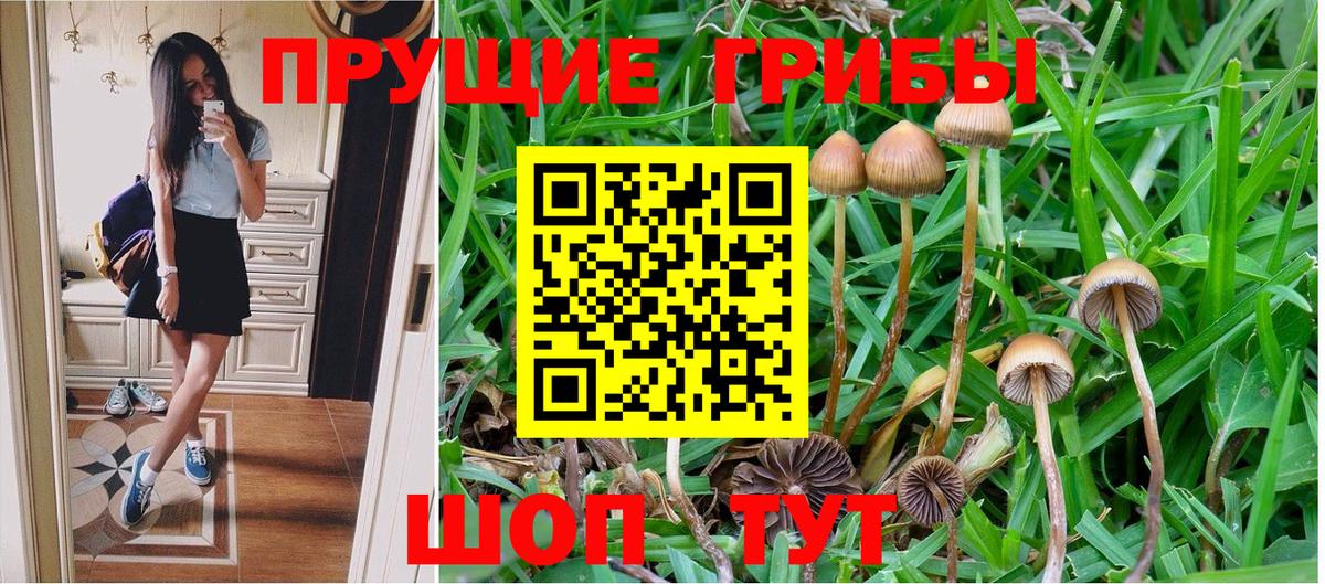 Псилоцибиновые грибы Psilocybine cubensis  Вход с VPN  Советск  Псилоцибиновые грибы Magic Shrooms 