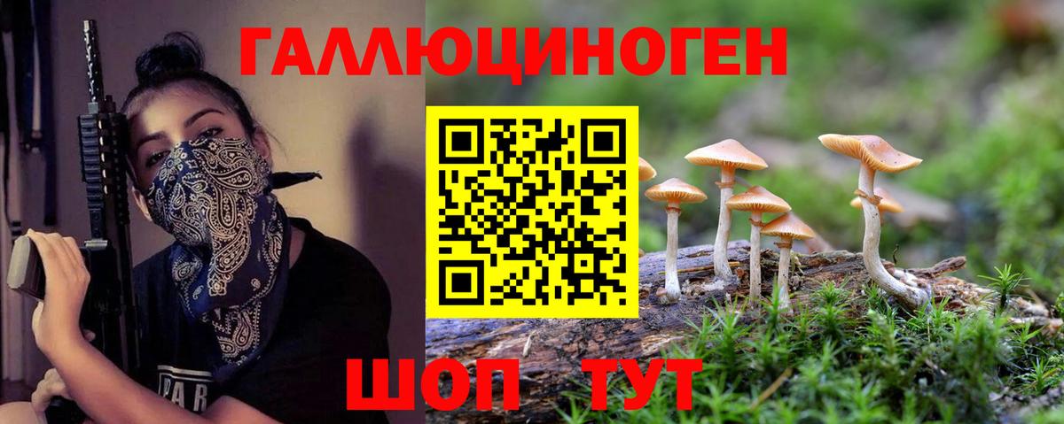 Галлюциногенные грибы прущие грибы Советск